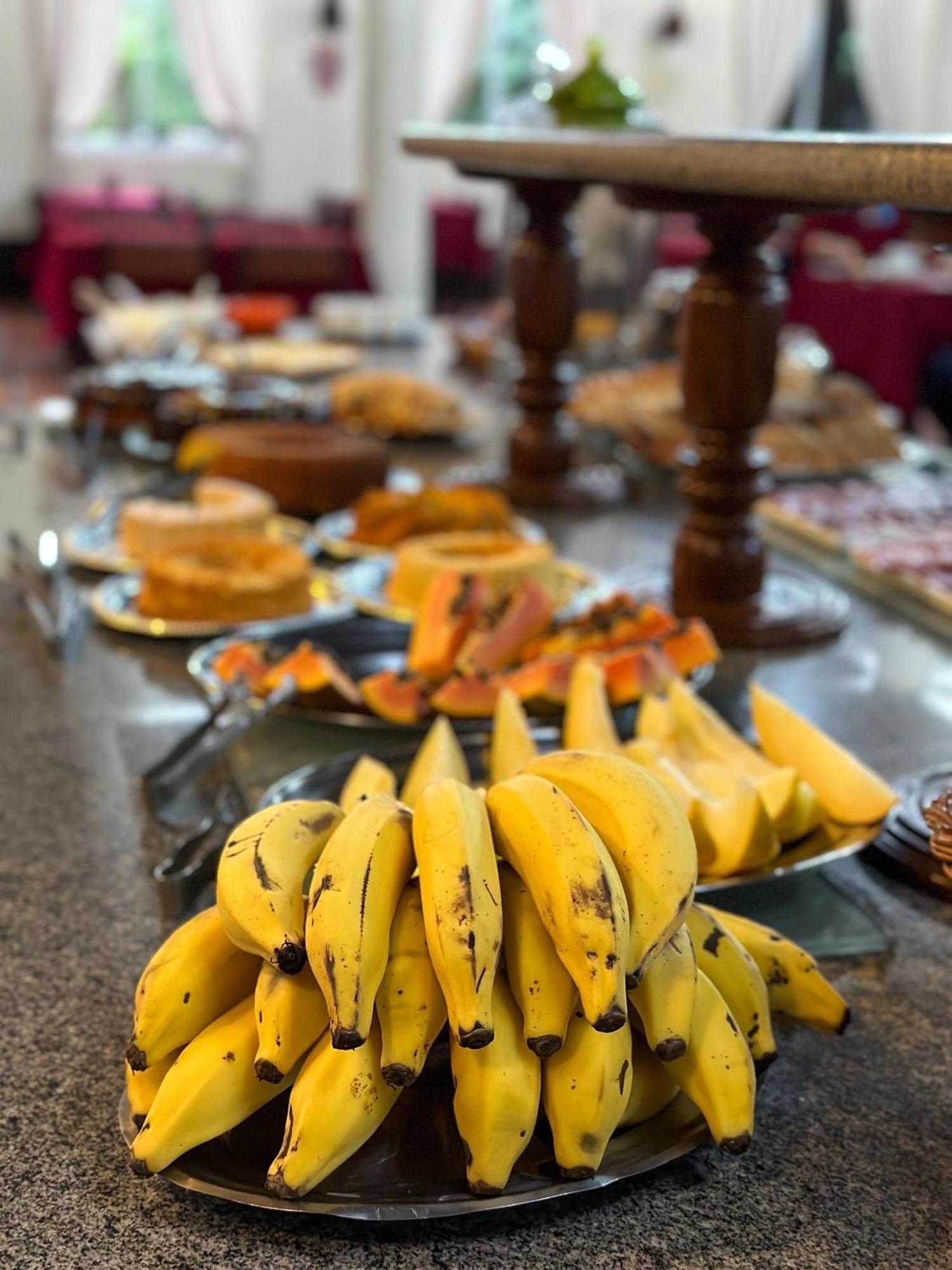 Hotel Cavalinho Branco São Francisco de Paula エクステリア 写真